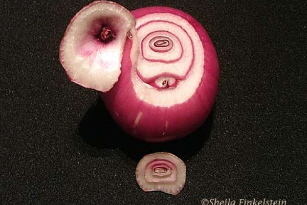 Kraken зеркало kraken 6 onion