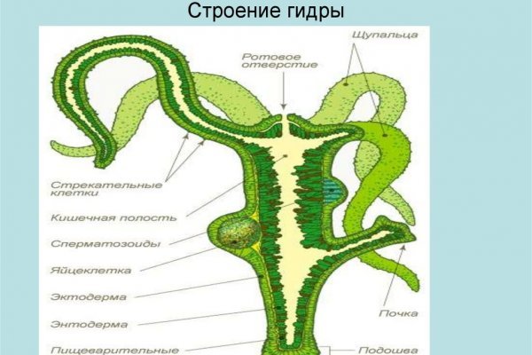 Kraken магазин тор